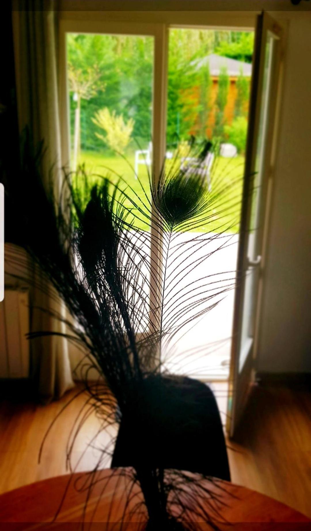 Apartmán Maison Gasha Senlis  Exteriér fotografie